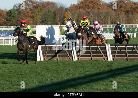 Ascot, Großbritannien. November 2023. Die Fahrer im UK Mare's Handicap Hürdenrennen auf der Ascot Racecourse beim November Racing Saturday Meeting. Kredit: Maureen McLean/Alamy Stockfoto