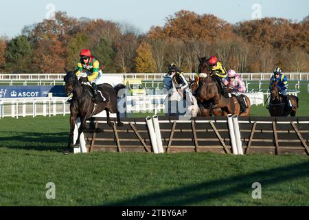 Ascot, Großbritannien. November 2023. Die Fahrer im UK Mare's Handicap Hürdenrennen auf der Ascot Racecourse beim November Racing Saturday Meeting. Kredit: Maureen McLean/Alamy Stockfoto