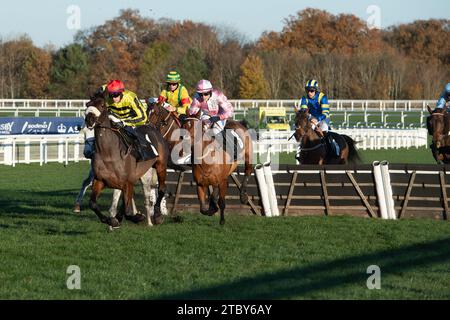 Ascot, Großbritannien. November 2023. Die Fahrer im UK Mare's Handicap Hürdenrennen auf der Ascot Racecourse beim November Racing Saturday Meeting. Kredit: Maureen McLean/Alamy Stockfoto