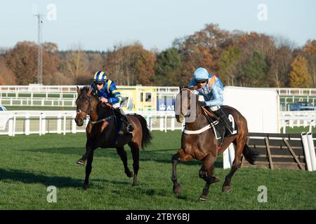 Ascot, Großbritannien. November 2023. Die Fahrer im UK Mare's Handicap Hürdenrennen auf der Ascot Racecourse beim November Racing Saturday Meeting. Kredit: Maureen McLean/Alamy Stockfoto