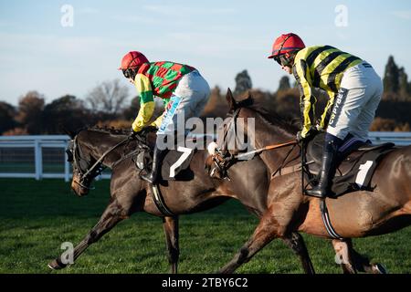 Ascot, Großbritannien. November 2023. Die Fahrer im UK Mare's Handicap Hürdenrennen auf der Ascot Racecourse beim November Racing Saturday Meeting. Kredit: Maureen McLean/Alamy Stockfoto