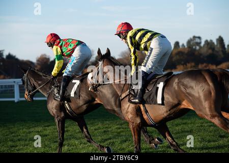 Ascot, Großbritannien. November 2023. Die Fahrer im UK Mare's Handicap Hürdenrennen auf der Ascot Racecourse beim November Racing Saturday Meeting. Kredit: Maureen McLean/Alamy Stockfoto