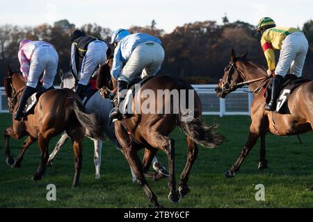 Ascot, Großbritannien. November 2023. Die Fahrer im UK Mare's Handicap Hürdenrennen auf der Ascot Racecourse beim November Racing Saturday Meeting. Kredit: Maureen McLean/Alamy Stockfoto