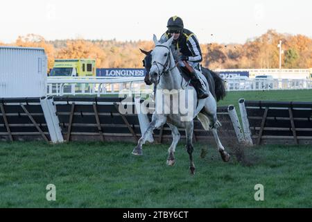 Ascot, Großbritannien. November 2023. Kredit: Maureen McLean/Alamy Stockfoto