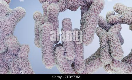 Humanes Chromosom unter Mikroskop, Genomsequenz. Molekularbiologie, DNA-Moleküle, schwimmende Chromosomen mit hervorgehobenen Telomeren, genetischer Code, G Stockfoto