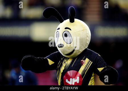 Watford Maskottchen Harry the Hornet auf dem Spielfeld vor dem Sky Bet Championship-Spiel in der Vicarage Road, Watford. Bilddatum: Samstag, 9. Dezember 2023. Stockfoto