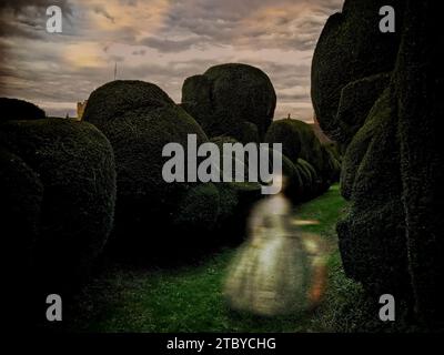 Der „Geist“ von „Lady Dedlock“, wie Charles Dickens bei einem Besuch der Eibenhecken am Rockingham Castle in Northamptonshire gesehen hat. Die Burg soll Dickens Inspiration für „Chesney Wold“ in seinem Roman „Bleak House“ sein. (FOTO ist fotoshoppt, (offensichtlich!) Stockfoto