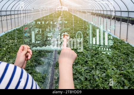 Frauen, die Nutzpflanzen mit Augmented-Reality-Geräten in Melonengewächshäusern verwalten (Hologramm CG) Stockfoto