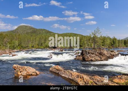 Einsame Bäume sprießen aus großen Felsen inmitten der Kaskaden des Namsen River in Namsskogan, Trondelag, Norwegen, flankiert von dichten Wäldern unter der Sonne Stockfoto