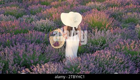 Teenager mit Korb, die im Lavendelpark spazieren geht. Teenager mit Lavendel im Feld. Teenager-Mädchen mit Lavendelblume, die auf dem Feld steht. Mit Teenager-Mädchen Stockfoto