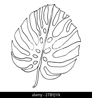 Monstera umrandet tropische Blätter, grünes Designelement Monstera Blätter, Dschungelpflanze. Line Art Monstera Blatt für Malbuch, Logo oder Scrapbook d Stock Vektor