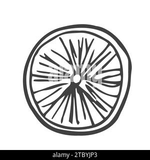 Orangen-Zitronenscheibe in skizzengraviertem Stil, isoliert auf weißem Hintergrund. Vektor-handgezeichnete Illustration in Doodle-Umrisssyle. Zutat für Salat, Stock Vektor