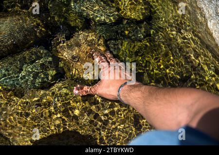 Die Hand eines Mannes greift nach etwas im Wasser Stockfoto