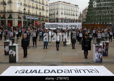 Madrid, Spanien. Dezember 2023. Aktivisten halten während der Kundgebung Plakate. Der Tierverband IGUALDAD ANIMAL hat anlässlich des Internationalen Tierschutztags in der Puerta del Sol in Madrid eine Kundgebung einberufen, um gegen die Misshandlung von Tieren unter dem Motto "Recht auf Tiere" zu protestieren. Quelle: SOPA Images Limited/Alamy Live News Stockfoto