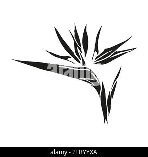 Paradiesvogel Blumenkopf tropische Strelitzia mit Blättern Silhouette für Design von Karte oder Einladung, Scrapbook. Vektor handgezeichnete Abbildung, IS Stock Vektor