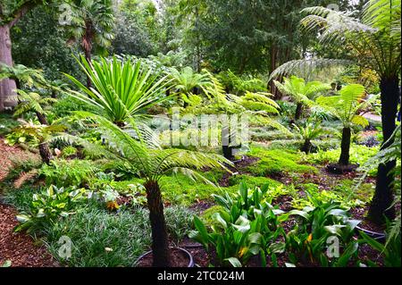 Der Botanische Garten (Loki Schmidt Garten) in Hamburg Stockfoto