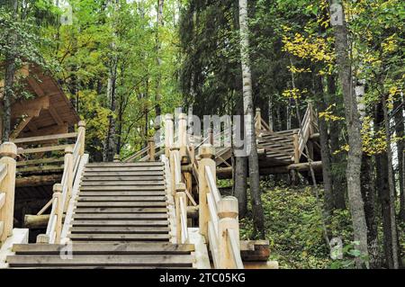 Hölzerne Fußgängerstraße durch den Wald in Archangelsk. Russland Stockfoto