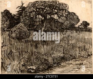 Weping Tree von Vincent Van Gogh 1889 Stockfoto