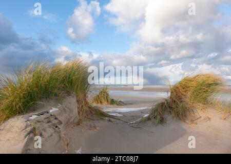 Blick auf den riesigen Strand und das Meer zwischen zwei Dünen mit Marram-Gras Stockfoto