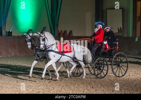 Djakovo, Hrvatska. Dezember 2023. Reiter auf lipizzanern treten während des Lipizzaner Christmas Ball auf dem Staatsgestüt Djakovo, Ostkroatien, am 9. Dezember 2023 auf. Der Lipizzaner Christmas Ball ist eine barocke Bühnenshow mit Lipizzanern, die am 9. Dezember 2023 in Djakovo, Kroatien, stattfindet. Foto: Davor Javorovic/PIXSELL Credit: Pixsell/Alamy Live News Stockfoto