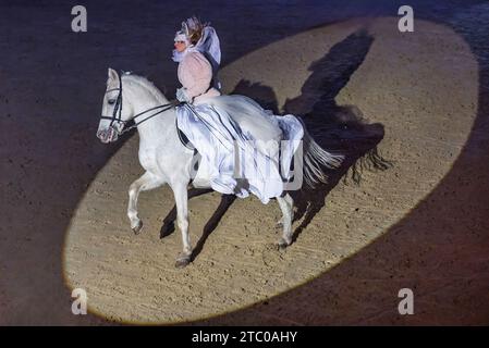 Djakovo, Hrvatska. Dezember 2023. Reiter auf lipizzanern treten während des Lipizzaner Christmas Ball auf dem Staatsgestüt Djakovo, Ostkroatien, am 9. Dezember 2023 auf. Der Lipizzaner Christmas Ball ist eine barocke Bühnenshow mit Lipizzanern, die am 9. Dezember 2023 in Djakovo, Kroatien, stattfindet. Foto: Davor Javorovic/PIXSELL Credit: Pixsell/Alamy Live News Stockfoto