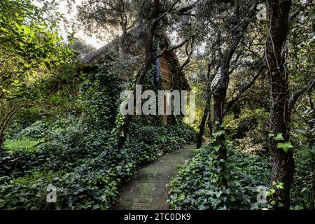 Holzhütte mit französischen Fenstern am Ende eines gemauerten Spaziergangs Stockfoto