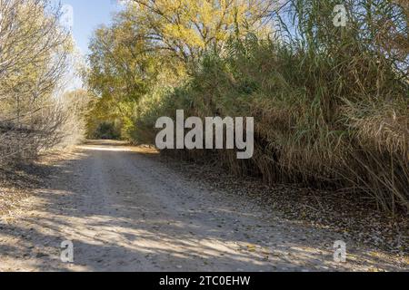 Eine unbefestigte Straße neben dem Ufer eines Flusses voll Stockfoto