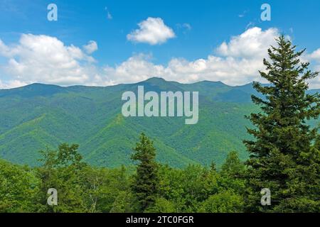 Panoramablick auf Mount Mitchell am Blue Ridge Parkway in North Carolina Stockfoto