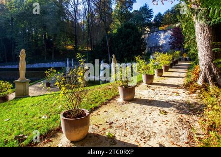 Idyllische Landschaft mit Teichstatuen, Topfpflanzen im Saint-Cloud Park - sonniger, orangener Tag im Herbst in Paris, Frankreich. Wunderschöner Herbst in Historica Stockfoto