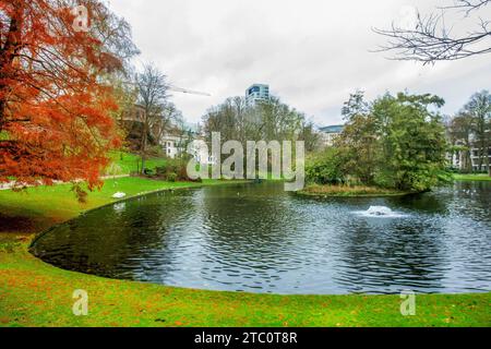 Park Leopold neben dem Gebäude des Europäischen Parlaments mit herbstlicher Blattfarbe in Brüssel. . Grüner Grasbaum mit gelben Blättern und immergrünen Bäumen ( S Stockfoto