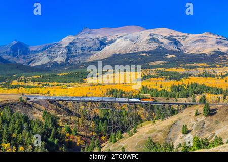 Personenzug, der im Herbst über einen Böll unter den Gipfeln des Gletschernationalparks in der Nähe des East Glacier Park, montana, fährt Stockfoto