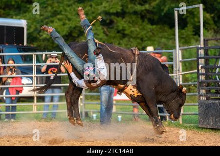 Ein Rodeo-Bullenreiter kommt während seines 8-Sekunden-Fahrversuchs vom Bullen Stockfoto