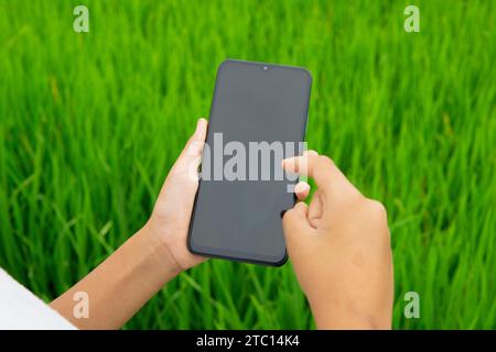 Mann, der ein Smartphone hält, zeigt einen schwarzen, leeren Bildschirm auf dem Reisfeld Stockfoto