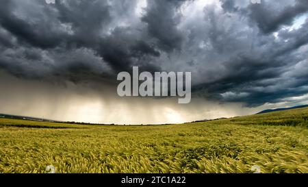 When a storm is coming Stockfoto