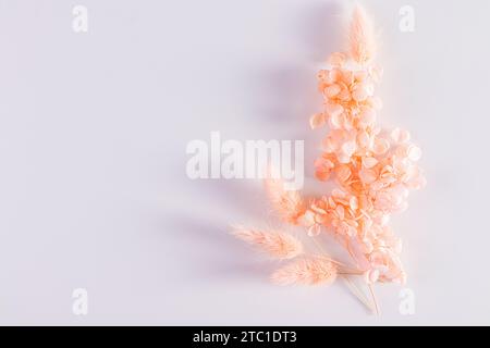 Zweige von getrocknetem Gras und Pfirsichblüten in einem Blumenstrauß auf weißem Hintergrund mit einem Kopierraum. Draufsicht. Farbe des Jahres 2024 Peach Fuzz Stockfoto