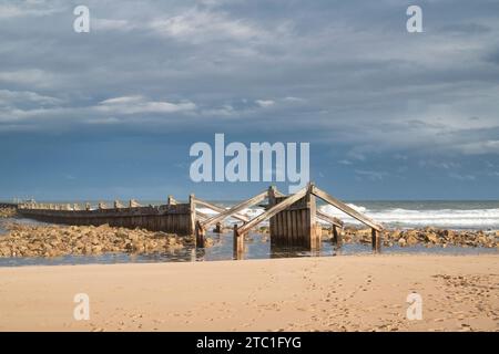 Stachelchen im Meer. Lossiemouth, Morayshire, Schottland Stockfoto