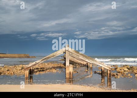 Stachelchen im Meer. Lossiemouth, Morayshire, Schottland Stockfoto