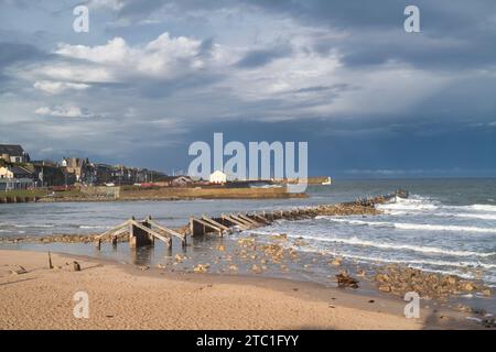 Stachelchen im Meer. Lossiemouth, Morayshire, Schottland Stockfoto