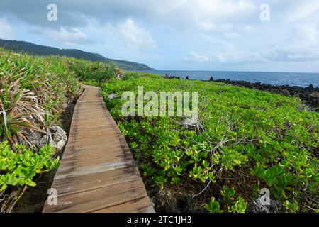 Boardwalk auf dem beliebten Küstenweg zwischen Lily und Ethel Beach, Christmas Island, Australien Stockfoto