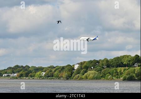 Airbus nähert sich dem Airbus-Werksflughafen in Hamburg-Finkenwerder Stockfoto