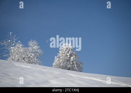 Dieses Stockfoto zeigt eine atemberaubende Winterlandschaft mit einer majestätischen Bergkette mit schneebedeckten immergrünen Bäumen Stockfoto