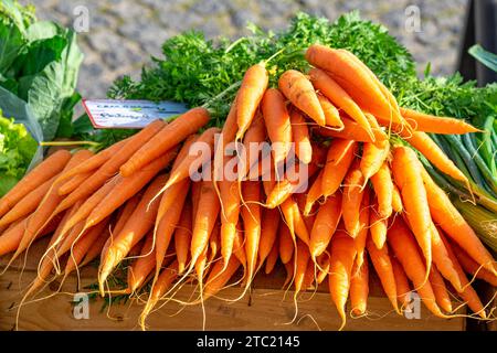 Große Karotten, die parallel auf einem Marktstand gestapelt sind. Stockfoto