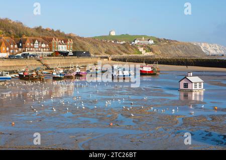 Möwen und Fischerboote im Hafen von Folkestone bei Ebbe. Stockfoto