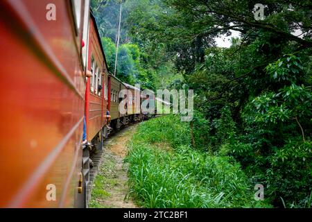 Sri Lankas Colombo Fort Hauptbahnhof zum Bahnhof Badulla fährt durch dichten Wald. Stockfoto