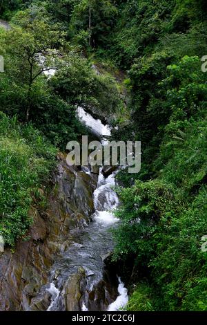 Einer der schönsten Wasserfälle im Nuwa Eliya-Viertel von Sri Lanka befindet sich in der Nähe der Eisenbahnbrücke Stockfoto