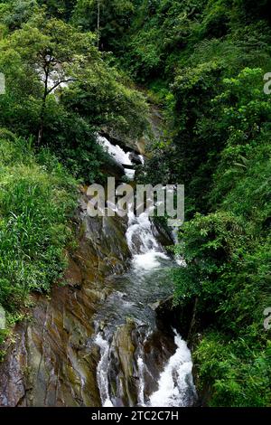 Einer der schönsten Wasserfälle im Nuwa Eliya-Viertel von Sri Lanka befindet sich in der Nähe der Eisenbahnbrücke Stockfoto