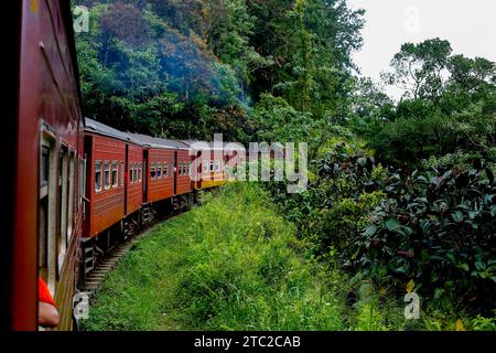 Sri Lankas Colombo Fort Hauptbahnhof zum Bahnhof Badulla fährt durch dichten Wald. Stockfoto