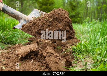 Das Schaufelblatt wird mit Erde über einem neuen Beet in einem grünen Garten gefüllt Stockfoto