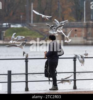 Hamburg, Deutschland. Dezember 2023. Ein Mann füttert Möwen im Niesel auf der inneren Alster. Quelle: Markus Scholz/dpa/Alamy Live News Stockfoto