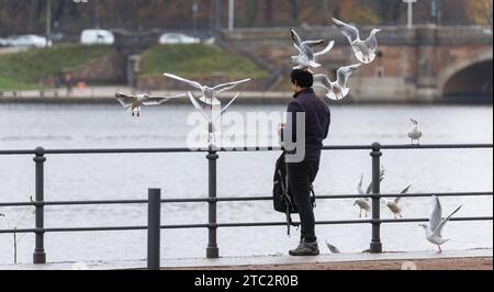 Hamburg, Deutschland. Dezember 2023. Ein Mann füttert Möwen im Niesel auf der inneren Alster. Quelle: Markus Scholz/dpa/Alamy Live News Stockfoto